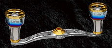 LIVRE CRANK 110 ff air