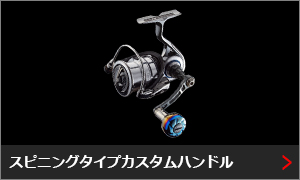 スピニング