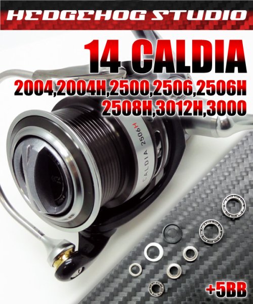 画像1: 14カルディア 2004,2004H,2500,2506,2506H,2508H,3012H,3000用 MAX11BB フルベアリングチューニングキット (1)