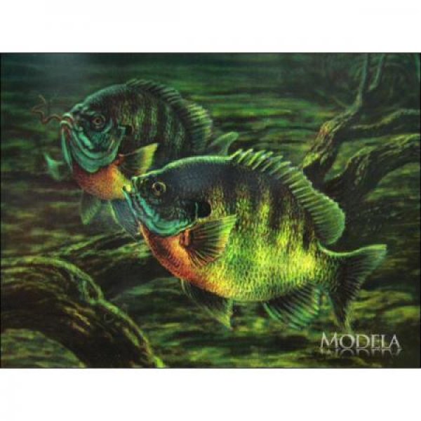 画像3: 釣りグッズ・インテリア【アメリカンブリキ看板】NIBBLES(ニブルズ) 品番:BS003 (3)