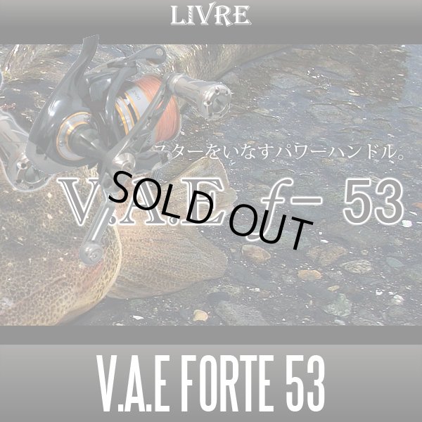 画像1: 【リブレ/LIVRE】 V.A.E Forte 53 ハンドル (1)