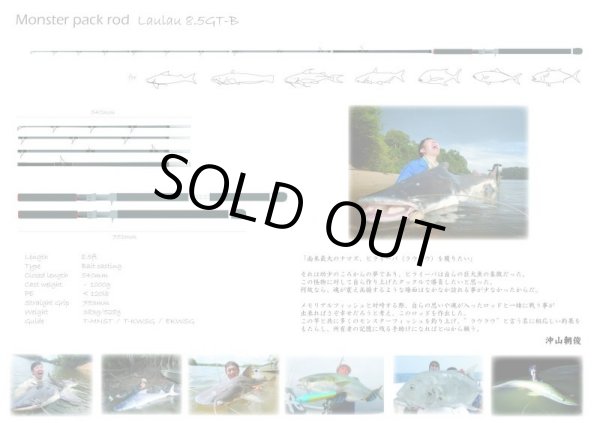 画像5: 【KingOctopus/キングオクトパス】 Laulau 8.5 GT-B （ラウラウ） BaitCasting Model (5)