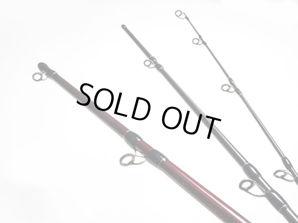 画像4: 【Fishman/フィッシュマン】BC4 5.10LH (4)