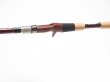 画像3: 【Fishman/フィッシュマン】BC4 5.10LH (3)