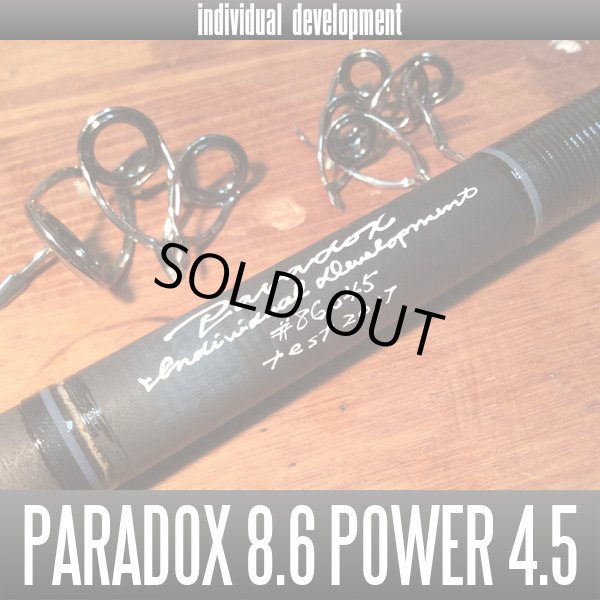 ID/individual development】Paradox 8.6ft Power 4.5