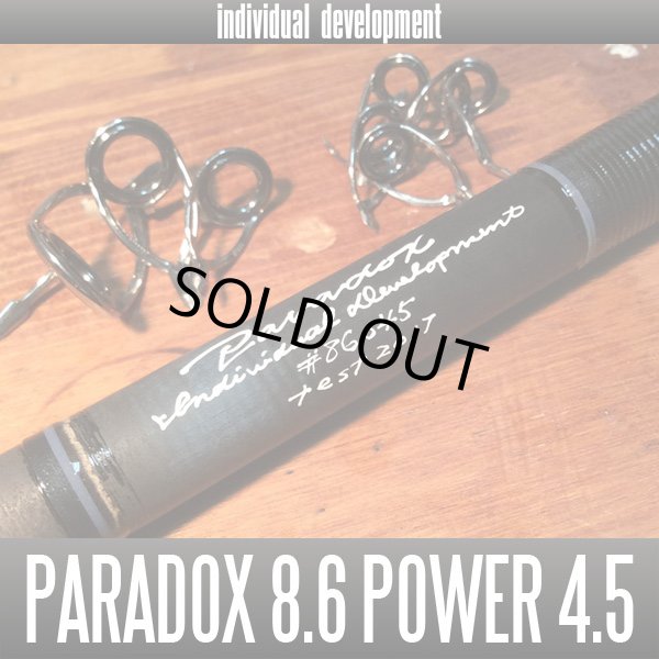 画像1: 【ID/individual development】Paradox 8.6ft Power 4.5 (1)