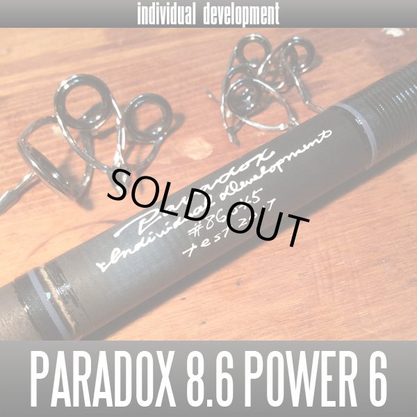 画像1: 【ID/individual development】Paradox 8.6ft Power 6 (1)