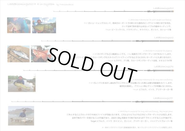 画像2: 【TRANSCENDENCE/トランスセンデンス】 LateBloomings510+/レイトブルーミングス (2)