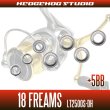 画像2: 18フリームス LT2500S-DH用 MAX10BB フルベアリングチューニングキット (2)
