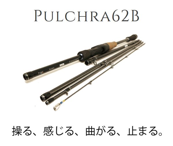 画像1: 【TRANSCENDENCE/トランスセンデンス】 Pulchra62B+ / プルクラ62B+ (1)
