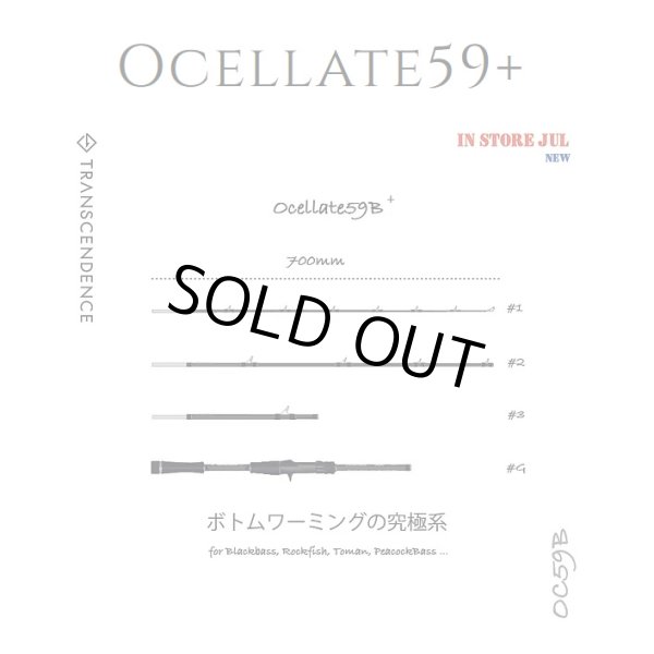画像1: 【TRANSCENDENCE/トランスセンデンス】Ocelate 59B / オセレイト (1)