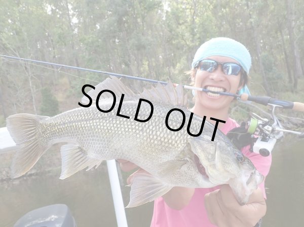 画像14: 【TRANSCENDENCE/トランスセンデンス】Botia 60S+ Rev.2  / ボティア (14)