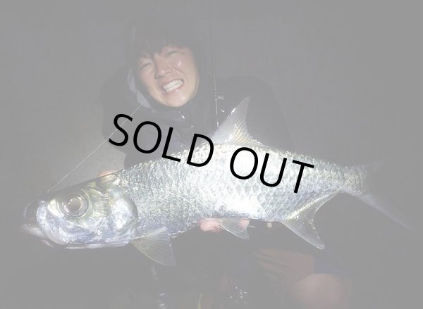 画像6: 【TRANSCENDENCE/トランスセンデンス】Botia 60S+ Rev.2  / ボティア (6)