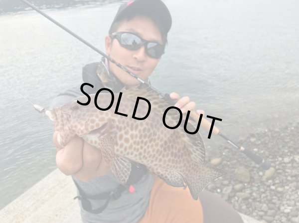 画像8: 【TRANSCENDENCE/トランスセンデンス】Botia 60S+ Rev.2  / ボティア (8)