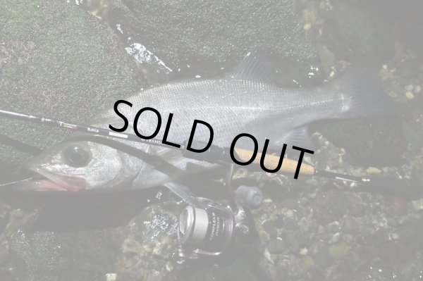 画像7: 【TRANSCENDENCE/トランスセンデンス】Botia 60S+ Rev.2  / ボティア (7)