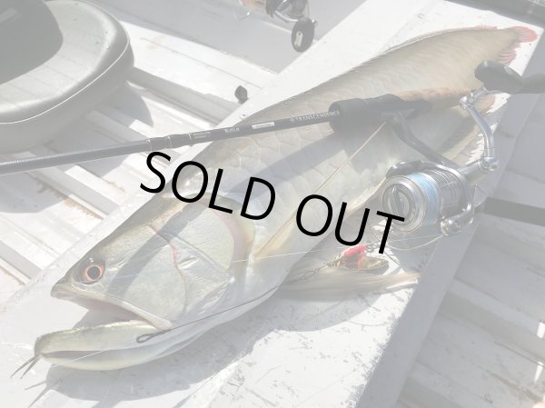 画像12: 【TRANSCENDENCE/トランスセンデンス】Botia 60S+ Rev.2  / ボティア (12)