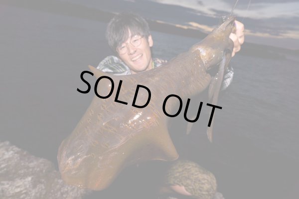 画像5: 【TRANSCENDENCE/トランスセンデンス】Botia 60S+ Rev.2  / ボティア (5)