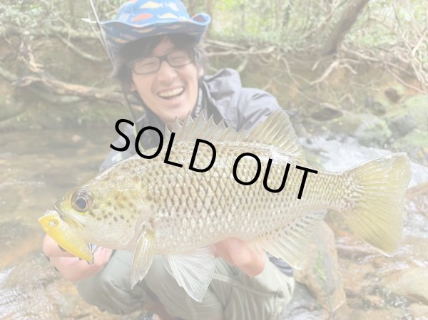 画像2: 【TRANSCENDENCE/トランスセンデンス】Botia 60S+ Rev.2  / ボティア (2)