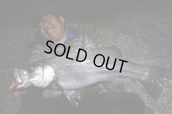 画像9: 【TRANSCENDENCE/トランスセンデンス】Botia 60S+ Rev.2  / ボティア (9)