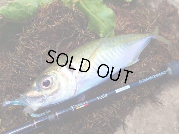 画像10: 【TRANSCENDENCE/トランスセンデンス】Botia 60S+ Rev.2  / ボティア (10)