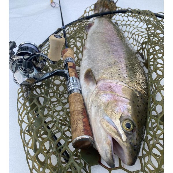 画像8: 【FHF】ウッド ハンドルノブ パドル形2 楓 F-24 (8)