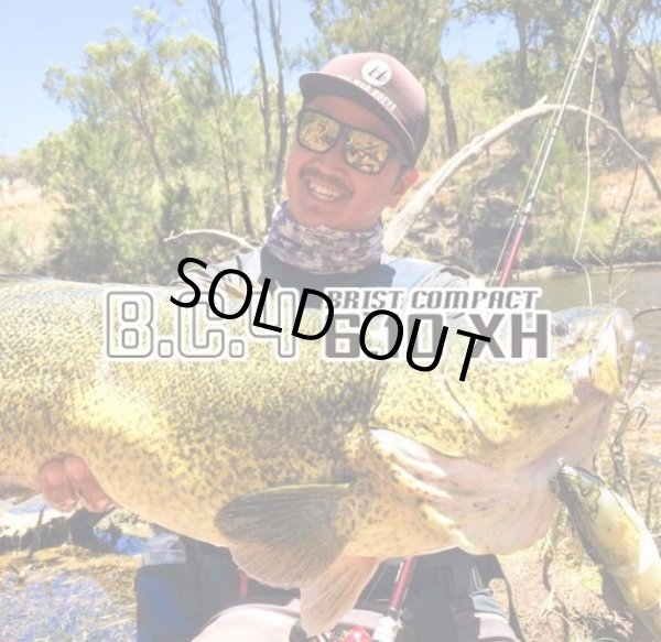 画像1: 【Fishman/フィッシュマン】BC4 6.10XH (1)