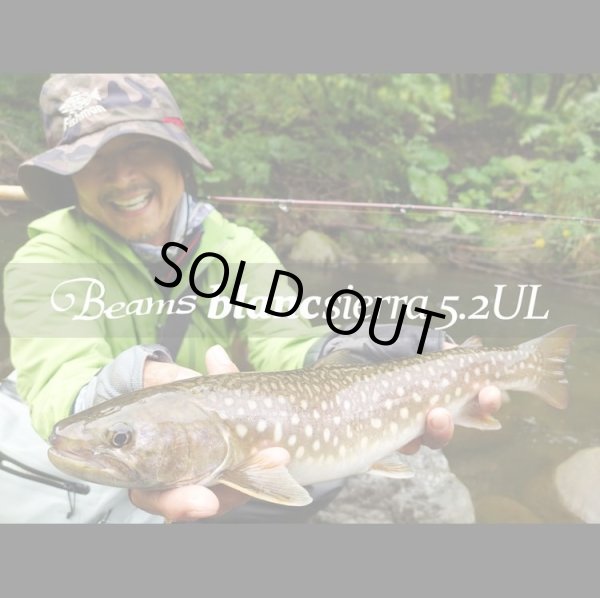 画像1: 【Fishman/フィッシュマン】Beams blancsierra 5.2UL（ブランシエラ）（生産終了） (1)