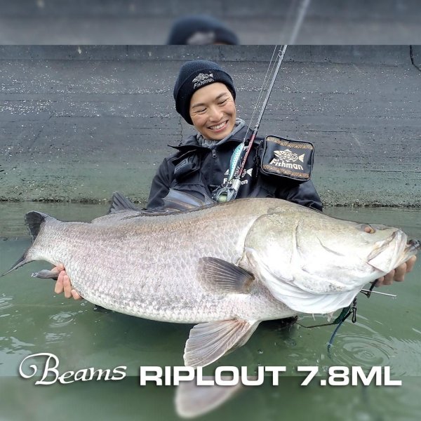 画像1: 【Fishman/フィッシュマン】Beams RIPLOUT 7.8ML（リプラウト） (1)