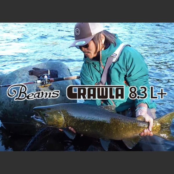 画像1: 【Fishman/フィッシュマン】Beams CRAWLA 8.3L+（ビームス クローラ） (1)