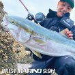 画像1: 【Fishman/フィッシュマン】BRIST MARINO 9.9H（ブリスト マリノ） (1)