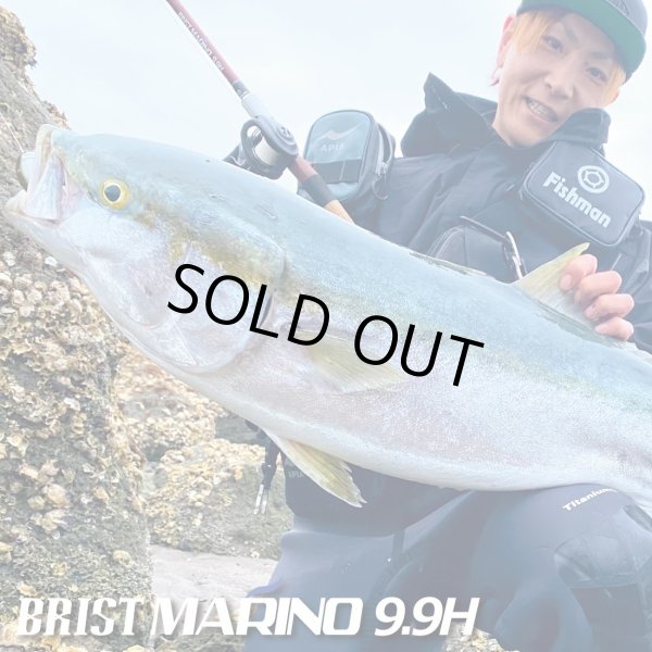 画像1: 【Fishman/フィッシュマン】BRIST MARINO 9.9H（ブリスト マリノ） (1)