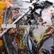 画像1: 【Fishman/フィッシュマン】BC4 5.10L (1)