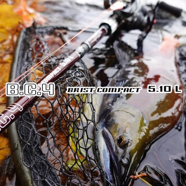 画像1: 【Fishman/フィッシュマン】BC4 5.10L (1)