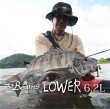 画像1: 【Fishman/フィッシュマン】Beams LOWER 6.2L（ビームス ローワー） (1)
