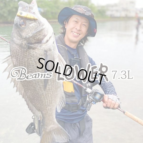 画像1: 【Fishman/フィッシュマン】Beams LOWER 7.3L（ローワー）（生産終了） (1)