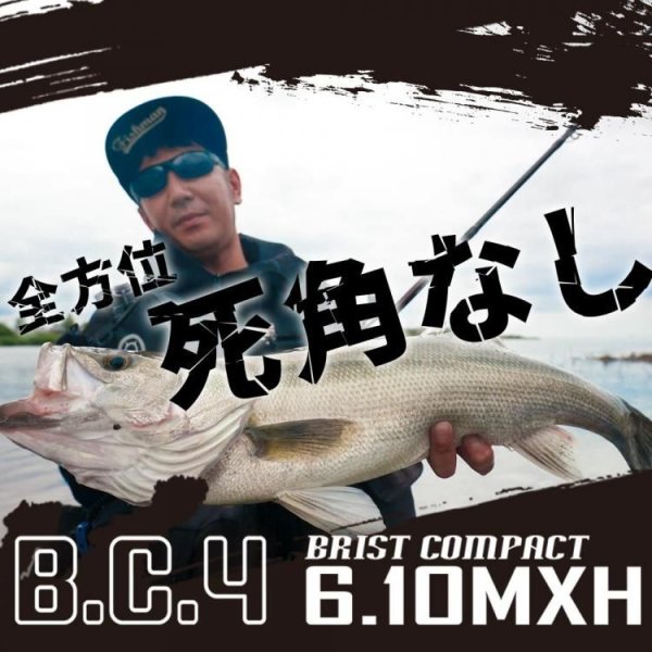 画像1: 【Fishman/フィッシュマン】BC4 6.10MXH (1)