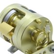 画像4: 【GOLD Works/ゴールドワークス】モラム用 カップスクリューセット (4)