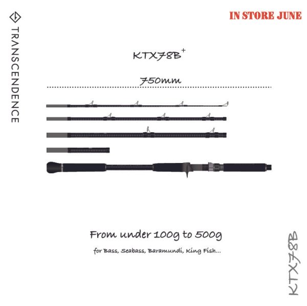 画像1: 【TRANSCENDENCE/トランスセンデンス】KTX78B / ケーティーエックス78B (1)