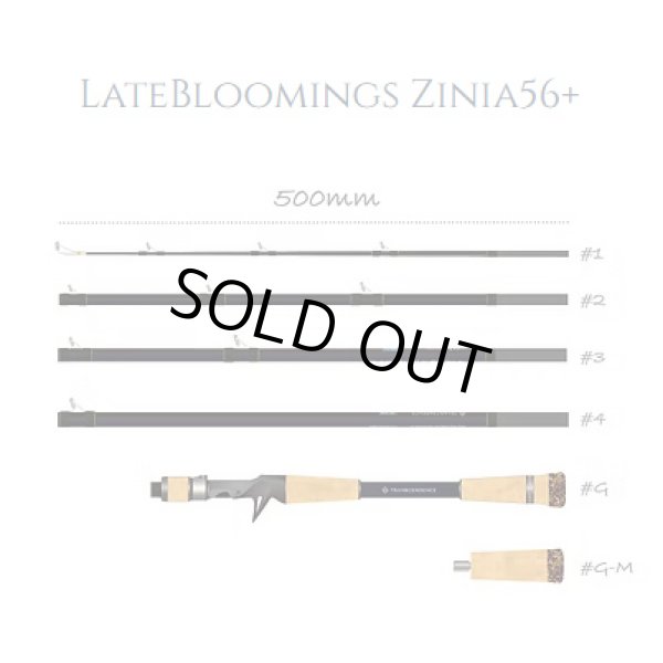 画像1: 【TRANSCENDENCE/トランスセンデンス】LateBloomings Zinia56+（LB56 レイトブルーミングス ジニア） (1)