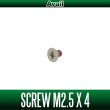 画像1: 【Avail/アベイル】ステンレス 汎用ネジ（M2.5×4mm, M3×4mm） (1)