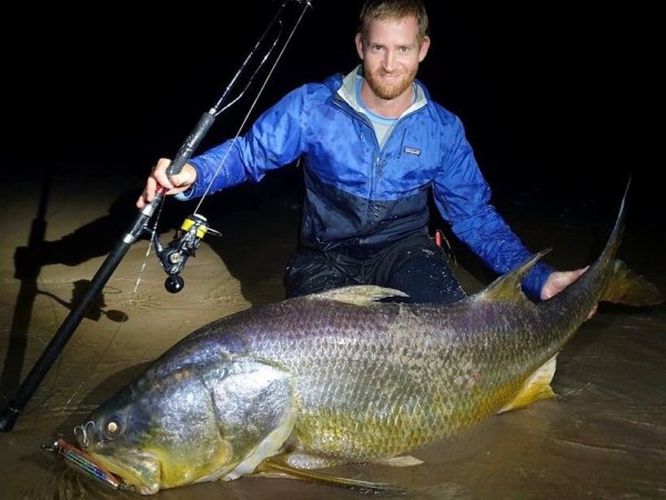 画像10: 【TRANSCENDENCE/トランスセンデンス】Laulau8.3GT-S Rev3.0 /ラウラウスピニング (10)