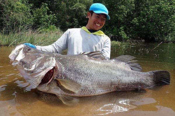 画像12: 【TRANSCENDENCE/トランスセンデンス】Laulau8.3GT-S Rev3.0 /ラウラウスピニング (12)