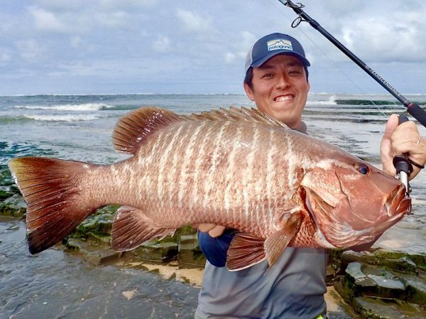 画像5: 【TRANSCENDENCE/トランスセンデンス】Laulau8.3GT-S Rev3.0 /ラウラウスピニング (5)