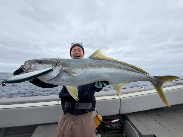 画像5: 【TRANSCENDENCE/トランスセンデンス】Foehn 88S / フェーン 88S (5)