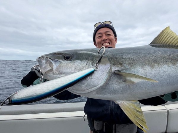 画像6: 【TRANSCENDENCE/トランスセンデンス】Foehn 88S / フェーン 88S (6)