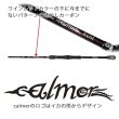 画像4: 【Fishman/フィッシュマン】Beams calmer 8.6M（ビームス カルマー） (4)