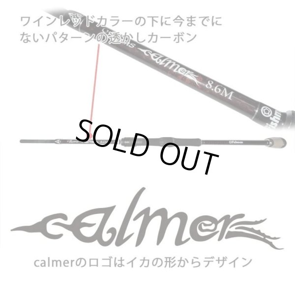 画像4: 【Fishman/フィッシュマン】Beams calmer 8.6M（ビームス カルマー） (4)