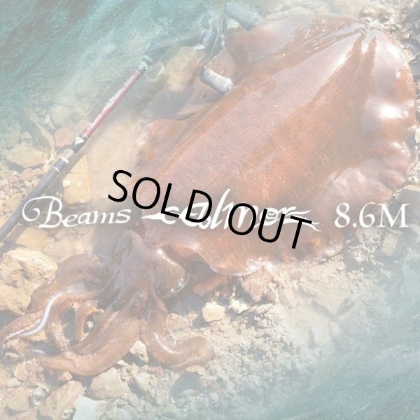 画像1: 【Fishman/フィッシュマン】Beams calmer 8.6M（ビームス カルマー） (1)