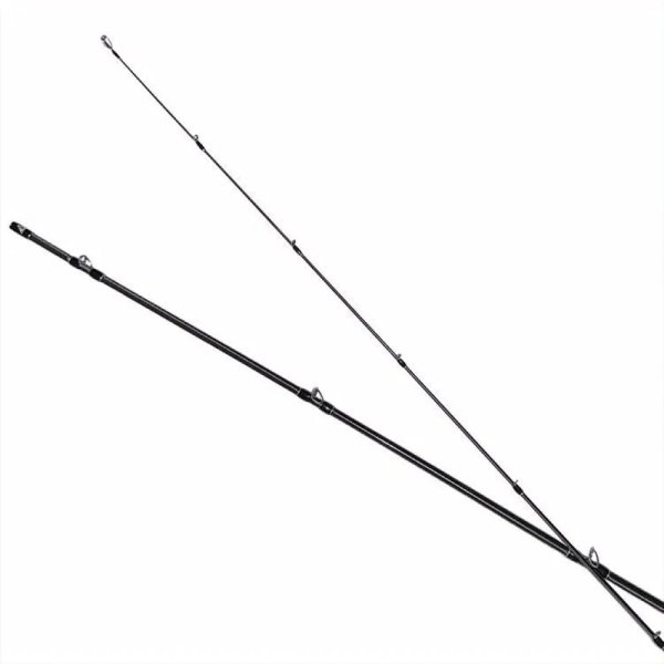 画像4: 【Fishman/フィッシュマン】Beams inte 5.8XF（ビームス インテ） (4)