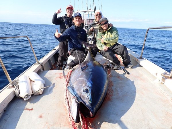 画像6: 【TRANSCENDENCE/トランスセンデンス】Khareef X8｜カリーフ X8 (6)